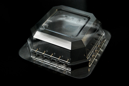 ref.e180a35:Envase transparente con canales de aire para cebos vivos